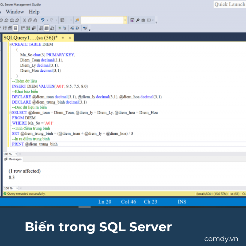 Biến trong SQL Server