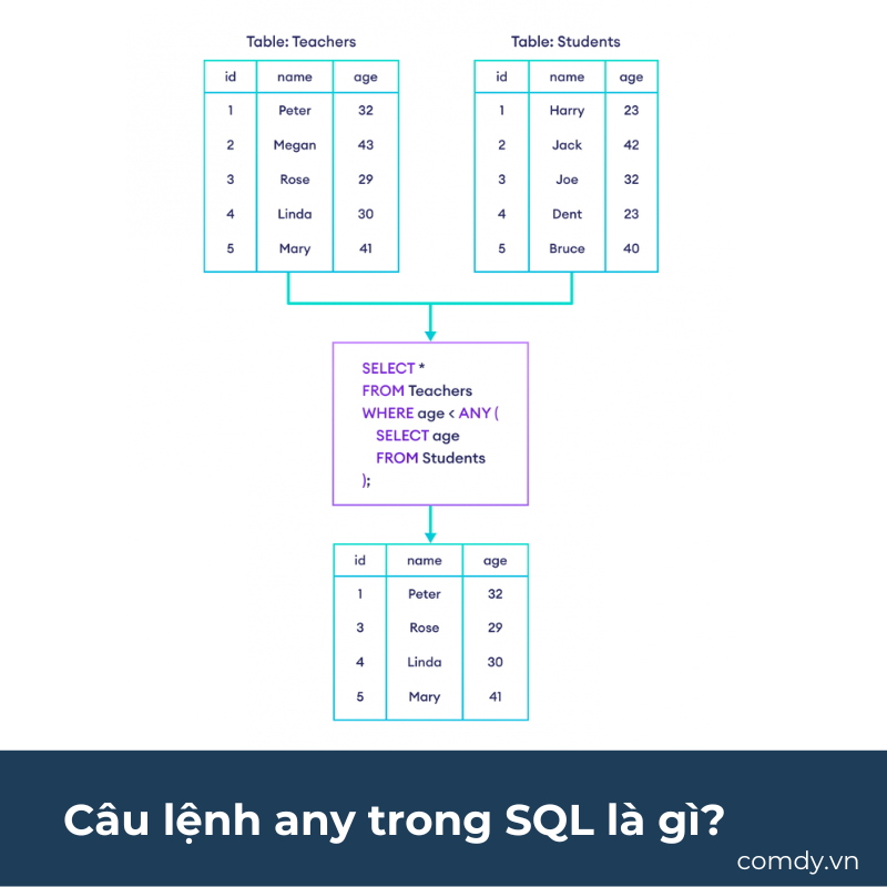 Câu lệnh any trong SQL là gì