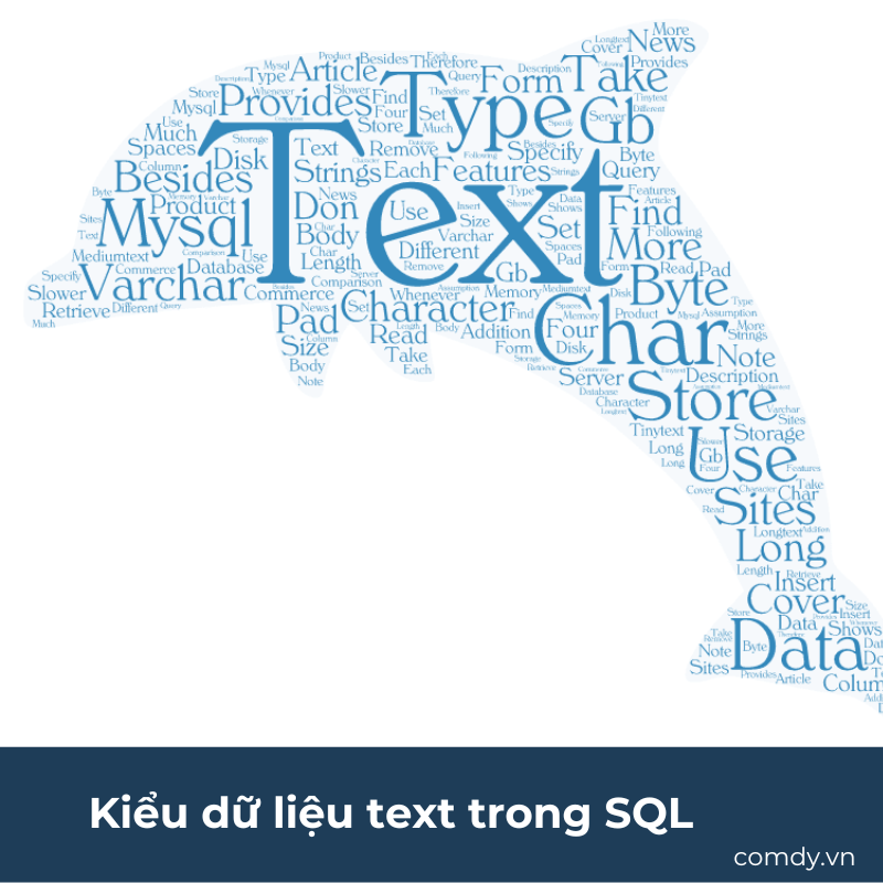 Kiểu dữ liệu text trong SQL